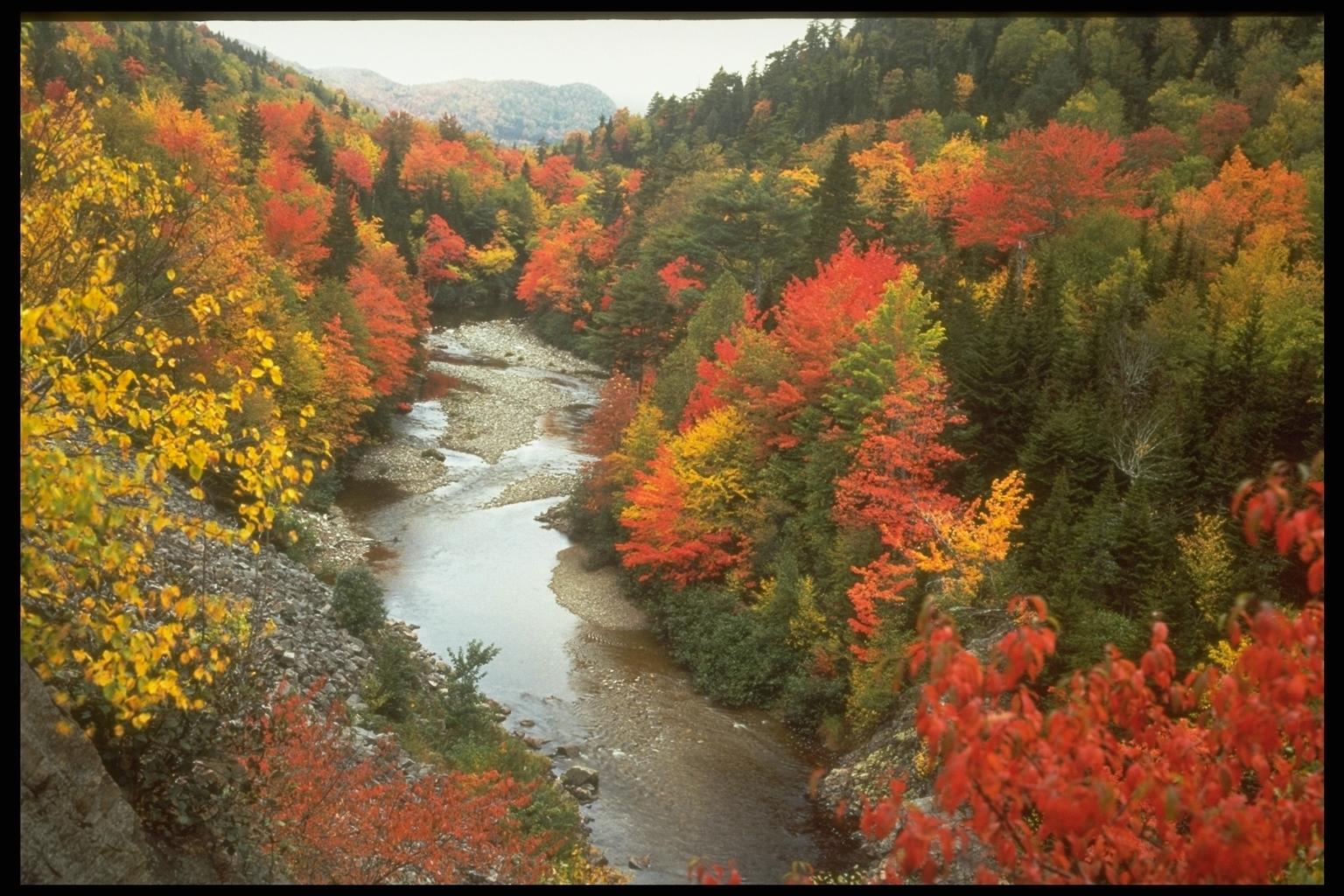 Indian Summer